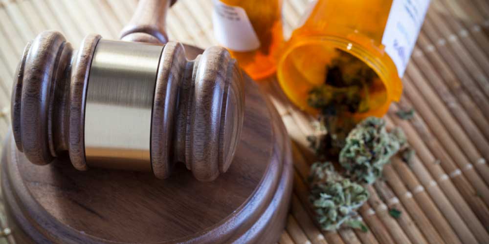 Newest States to Legalize Marijuana: NY, NJ, AZ, and More. Who’s Next?